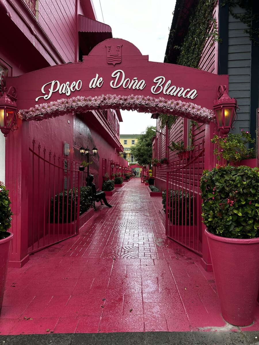 Vivid pink passageway at Paseo de Doña Blanca